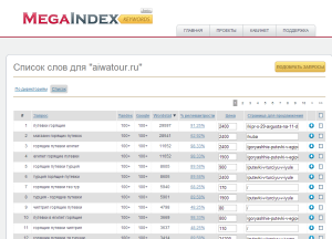 megaindex