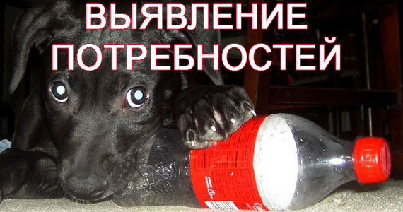 выявление потребностей